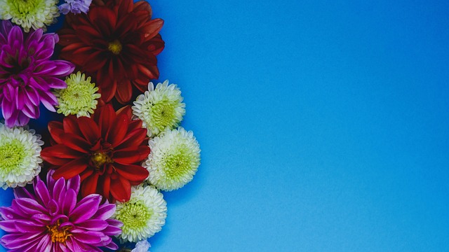 我们对未来 我们对未来