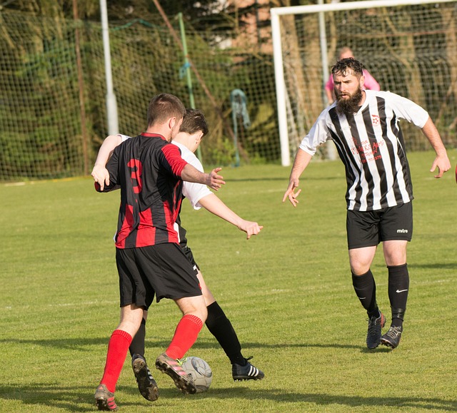 个方面来分 个方面来分