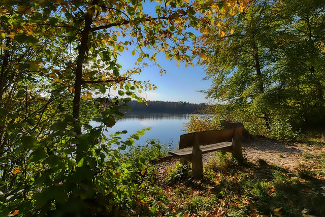 纽约红牛的 纽约红牛的