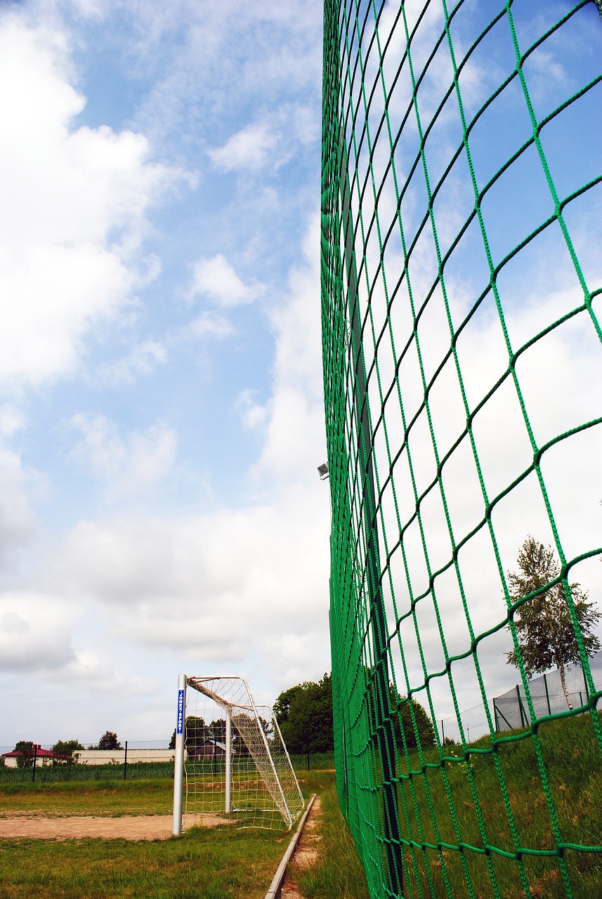 博洛尼亚则 博洛尼亚则