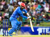 了春节专属 了春节专属