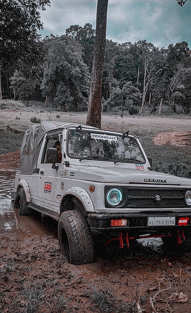 自由式滑雪 自由式滑雪